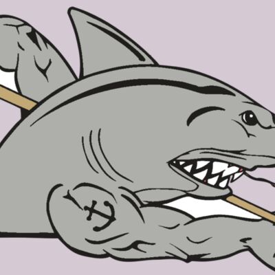 AR POOL 27 RC Thumbnail