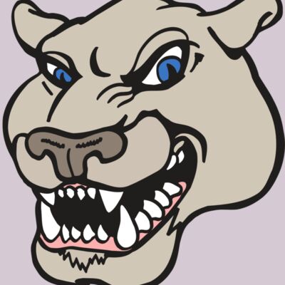 AR5 COUGAR 10 RQC Thumbnail