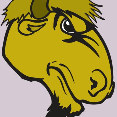 AR BUFFALO 14 RC Thumbnail