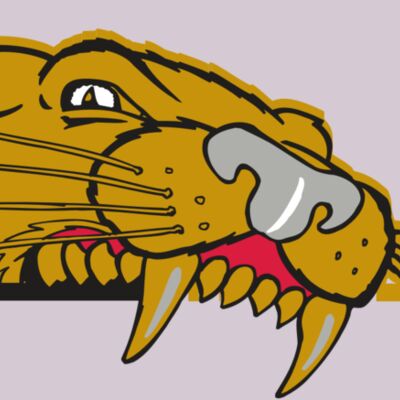 AR COUGAR 73 RC Thumbnail