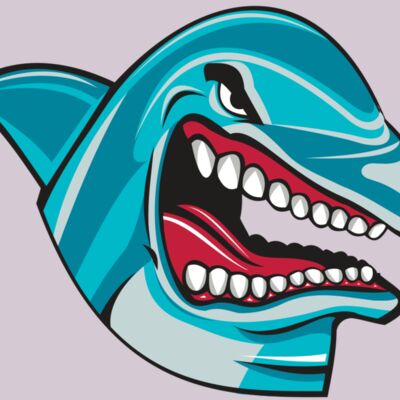 DOLPHIN HD0501 RQC Thumbnail