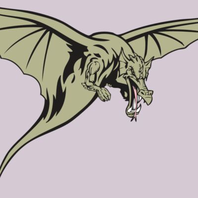 BAW DRAGON 12 RC Thumbnail