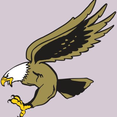 AR EAGLE 23 RC Thumbnail