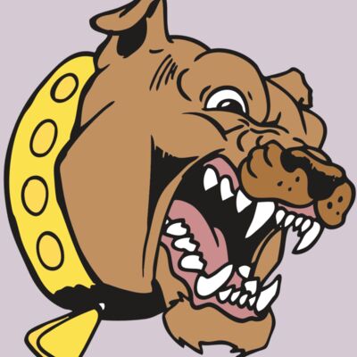 AR BDOG 49 RC Thumbnail