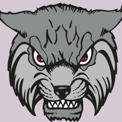 BAW BOBCAT 02 RC Thumbnail