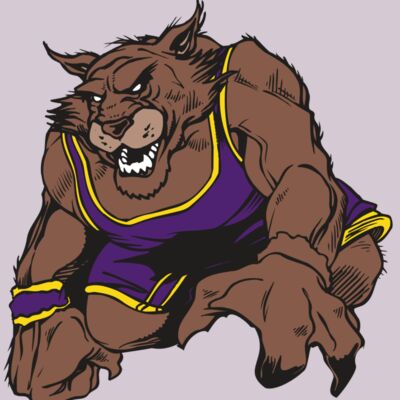 AR WILDCAT 23 RC Thumbnail