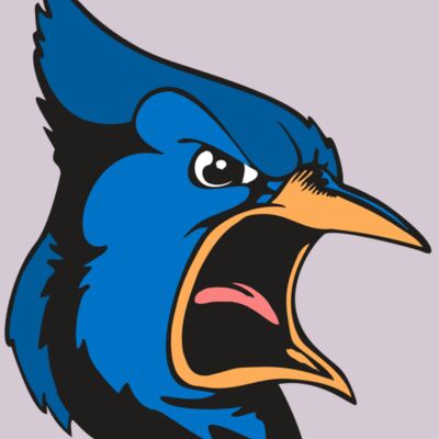 BAW BLUEJAY 03 RC Thumbnail