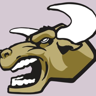 AR3 BULL 01 RQC Thumbnail