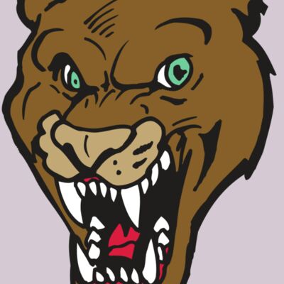 AR5 COUGAR 16 RQC Thumbnail