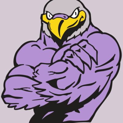 AR FALCON 32 RC Thumbnail