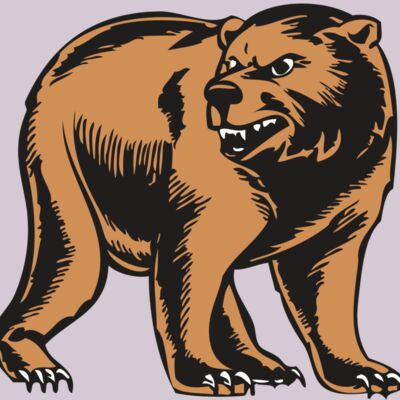 BAW BEAR 09 RC Thumbnail