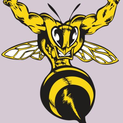 BAW BEE 04 RC Thumbnail