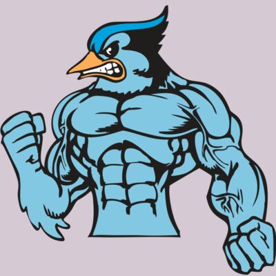 BAW BLUEJAY 16 RC Thumbnail