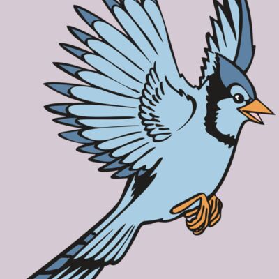 BAW BLUEJAY 12 RC Thumbnail