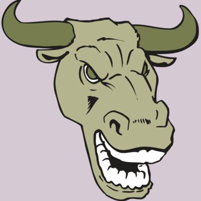 AR BULL 34 RC Thumbnail