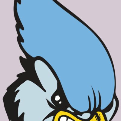 BAW BLUEJAY 05 RC Thumbnail