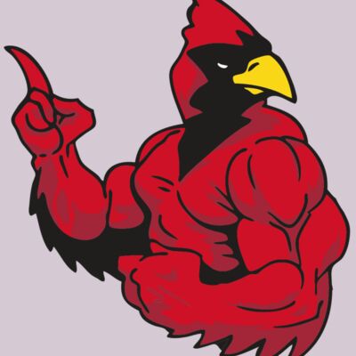 AR CARDINAL 28 RC Thumbnail