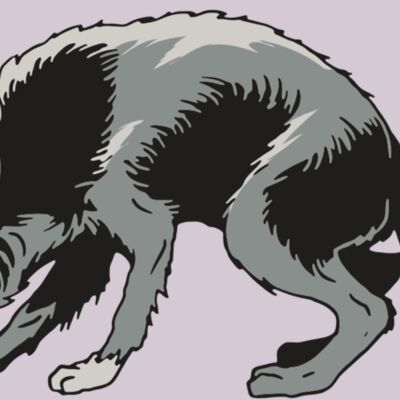 AR32 COYOTE 05 RQC Thumbnail