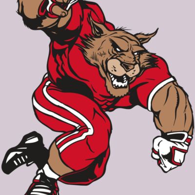 AR WILDCAT 32 RC Thumbnail