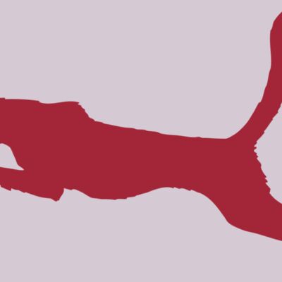 AR CHEETAH 11 RC Thumbnail