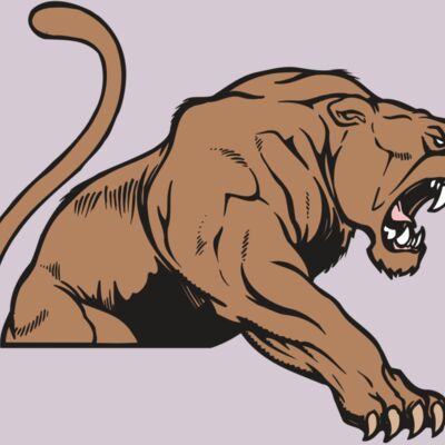 AR COUGAR 55 RC Thumbnail