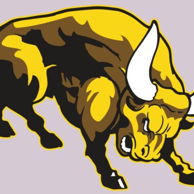 AR BULL 57 RC Thumbnail