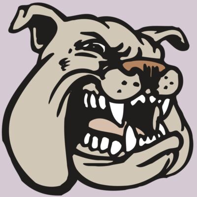 AR BDOG 38 RC Thumbnail