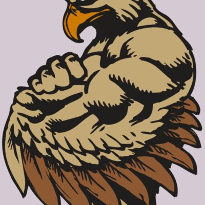 BAW HWK FLCN 02 RC Thumbnail