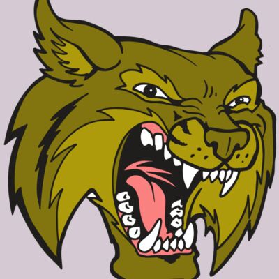 AR5 BOBCAT 20 RQC Thumbnail