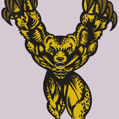 BAW CHEETAH 09 RC Thumbnail