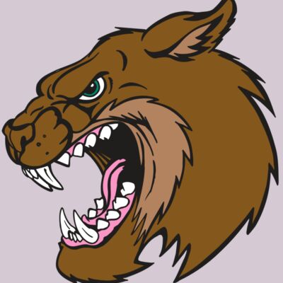 AR5 BOBCAT 18 RQC Thumbnail