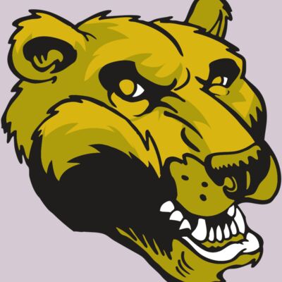 AR BEAR 47 RC Thumbnail