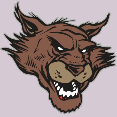 AR WILDCAT 11 RC Thumbnail