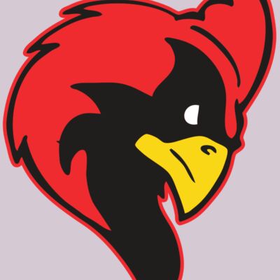 AR CARDINAL 24 RC Thumbnail