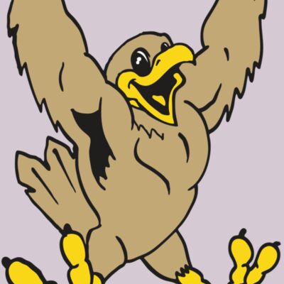 AR EAGLE 21 RC Thumbnail