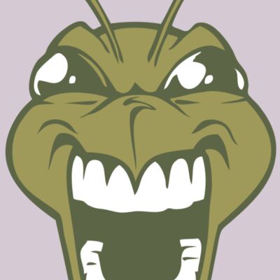 BAW BEE 13 RC Thumbnail