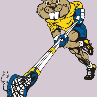 AR8 BEAVER 02 RQC Thumbnail