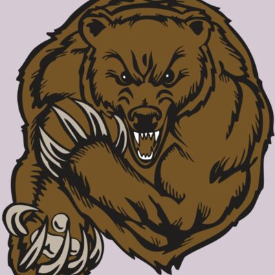 BAW BEAR 07 RC Thumbnail