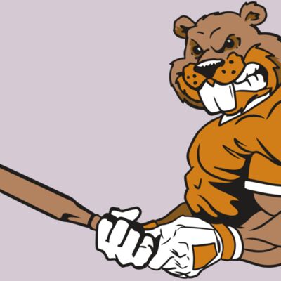 AR4 BEAVER 05 RQC Thumbnail