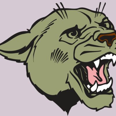 AR COUGAR 40 RC Thumbnail