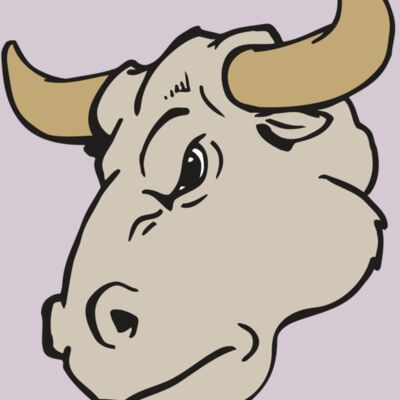 AR BULL 25 RC Thumbnail