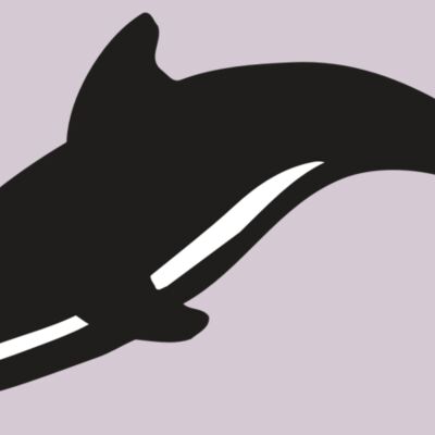 AR DOLPIN 16 RC Thumbnail