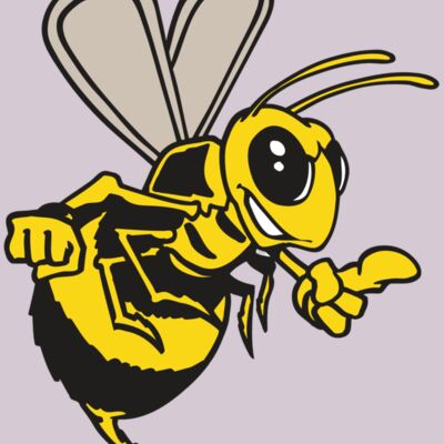 AR BEE 20 RC Thumbnail