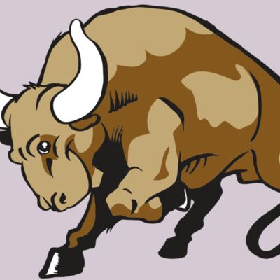 AR BULL 41 RC Thumbnail