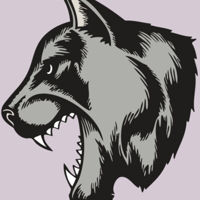 BAW COUG PANTH 06 RC Thumbnail