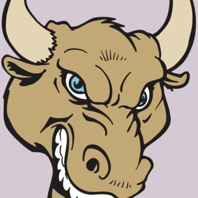 AR5 BULL 13 RQC Thumbnail