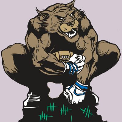 AR WILDCAT 34 RC Thumbnail