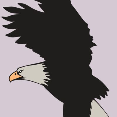 AR EAGLE 91 RC Thumbnail