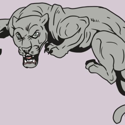 AR10 PANTHER 02 RQC Thumbnail