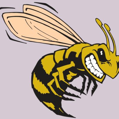 AR BEE 50 RC Thumbnail